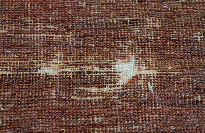 Moth Damage Rug Restoration in Nj: How to Save Your Antique Rugs