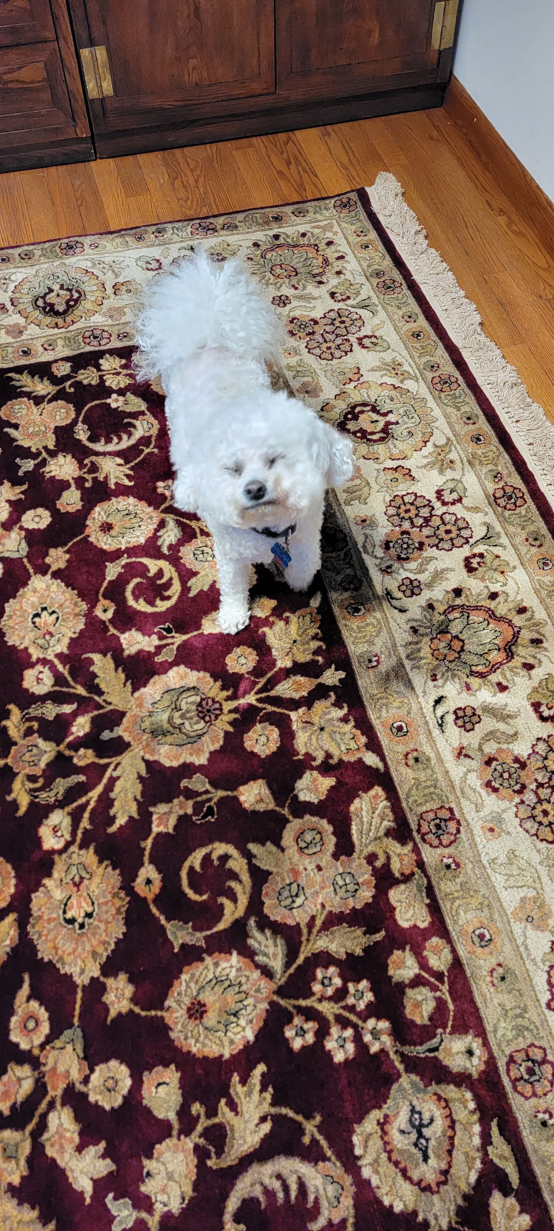 rug repair