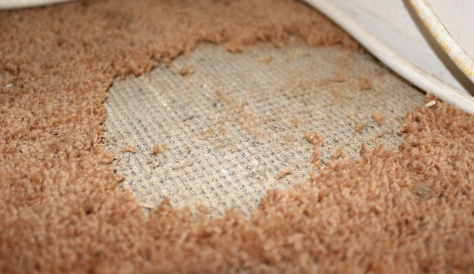 damaged rug