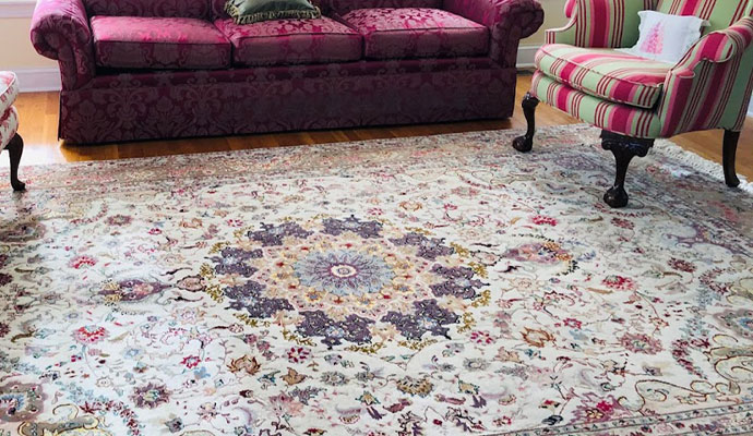 Repel Rug Spots & Stains
