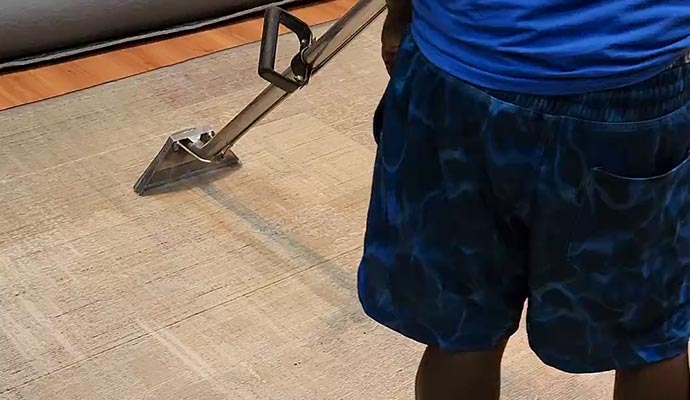 Cleaning viscose area rug using equipment